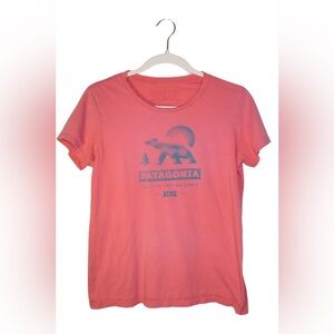 Patagonia Built To Endure Womens Shirt